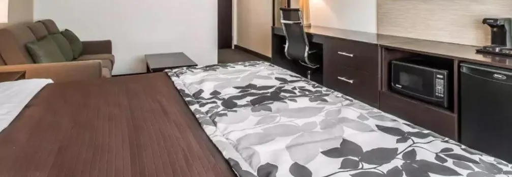 Sleep Inn & Suites