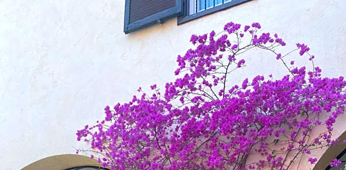 Villa Orsini