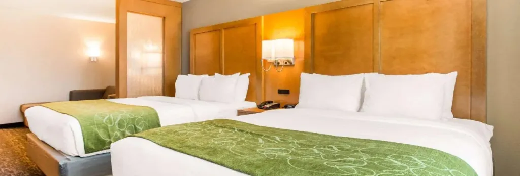 Comfort Suites North Charleston - Ashley Phosphate