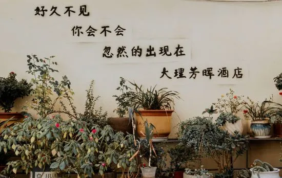 Dali Fanghua Hotel （Dali Fengyi Airport Shop）