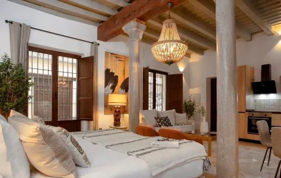 Exclusive studio in Granada center. Horno Marina 1