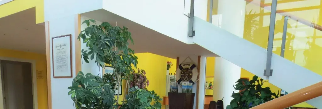 Hotel Remin Plaza