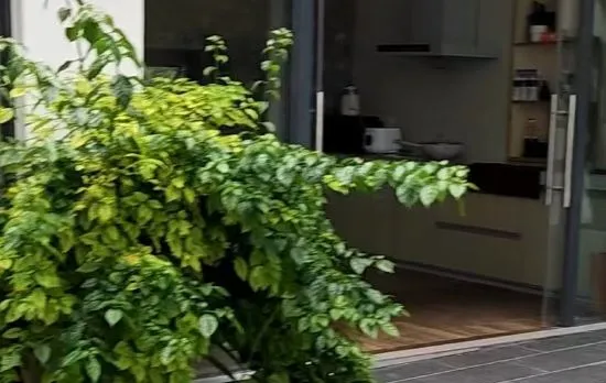 Jidi Courtyard