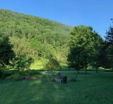 The Maples Apt - King Bed, Pet Friendly, Beautiful Views