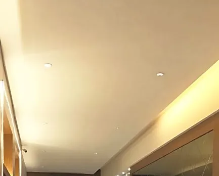 Hotel Heritage Dakshin