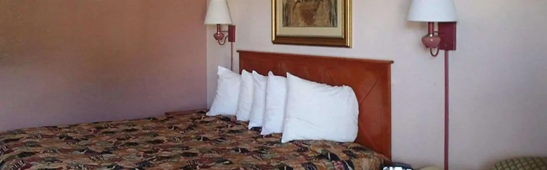 Rodeway Inn Leesburg