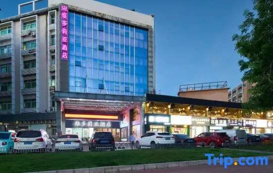VICTORIA Hotel (Gushu Subway Station, Shenzhen Airport)