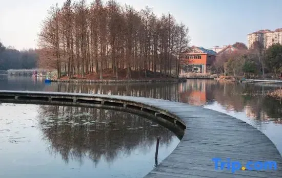 Shanghai Yuanshe Xiaozhu Homestay