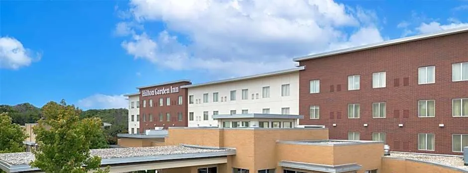 Hilton Garden Inn Fort Worth Medical Center