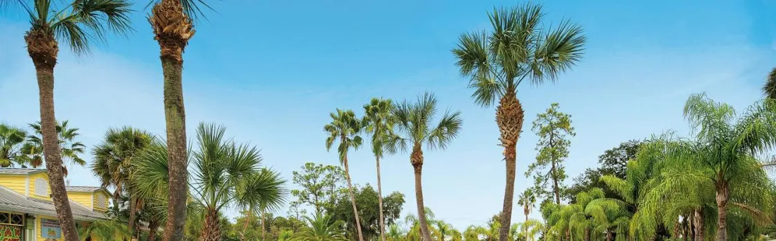 Tropical Palms Resort