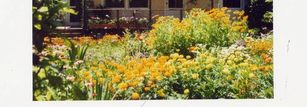 Hollyhock Country House (Adults only)