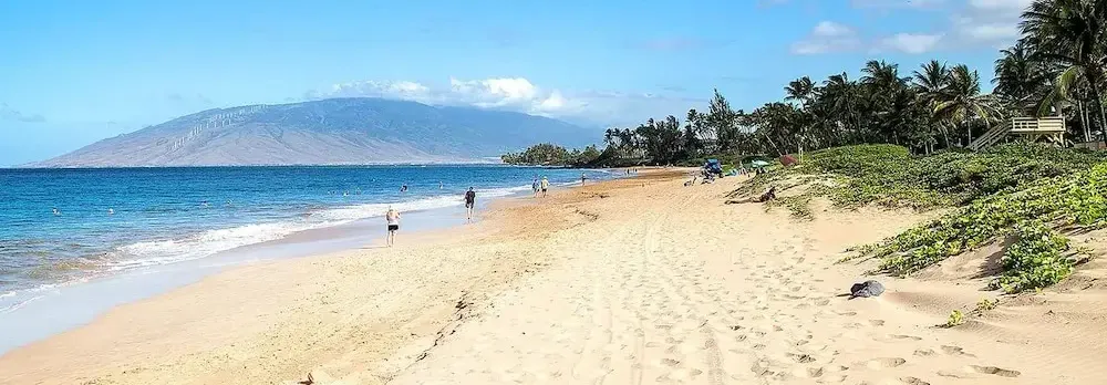 Maui Vista 2-301 - Modern and Bright Renovation in Building 2, No Carpet, AC!