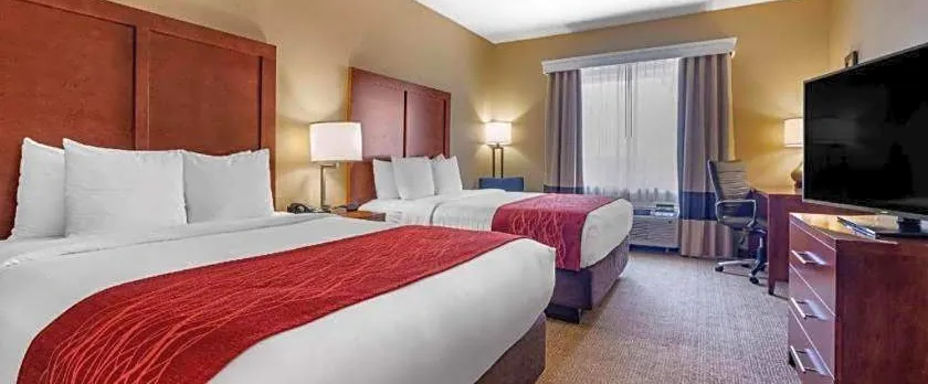 Comfort Inn Dfw Airport North
