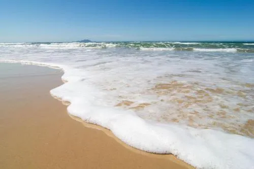 Ãrea Nobre nos Ingleses 650 metros da Praia P1298