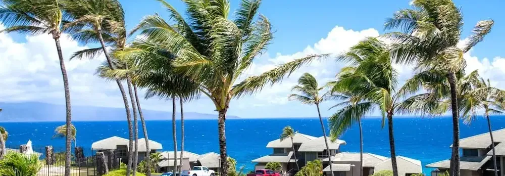 Kapalua Bay Villas 4 Free Rental Cars KBM Resorts Whale Watching 4 Units, 6 Bedrooms Ml-1978