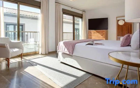 Luxury apartment in city center. Puerta Real II