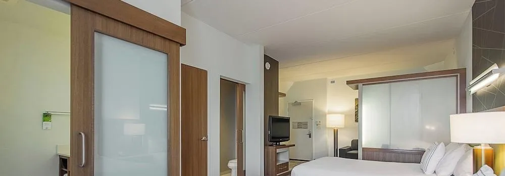 Springhill Suites Tampa North/I-75 Tampa Palms