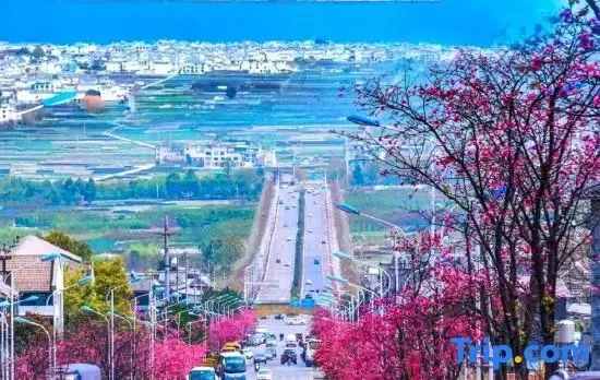 Yijia Renmei Homestay (Dali Old City Cang'er Avenue Branch)