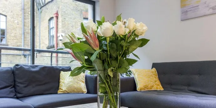 Camden Town Apartments