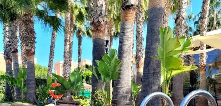 Hotel Alicante Golf