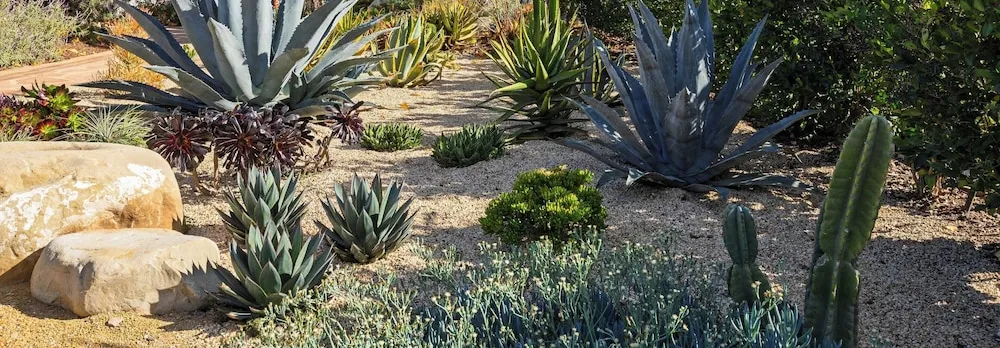 Hummingbird Haven by Avantstay Dog-friendly, Near the Beach, Huge Yard+hot Tub
