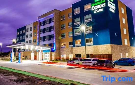 Holiday Inn Express & Suites DALLAS MARKET CTR - LOVE FIELD by IHG