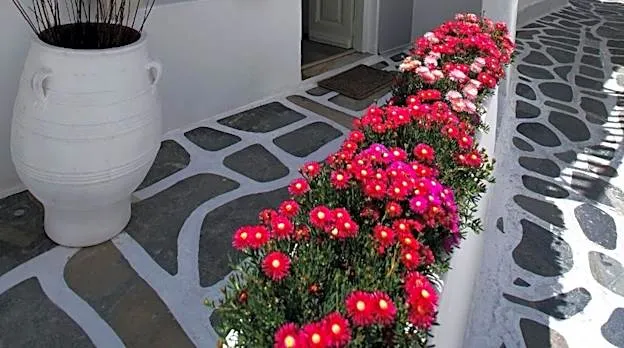 Fresh Boutique Hotel