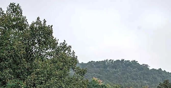 Hangzhou West Lake Anyu Hotel