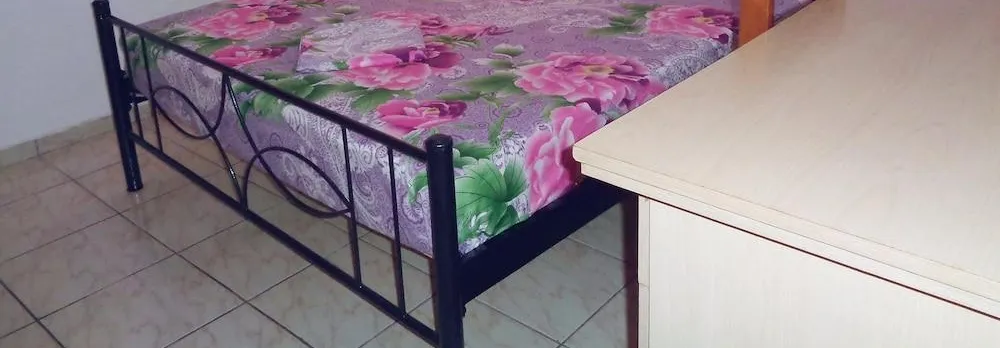 Elena's House