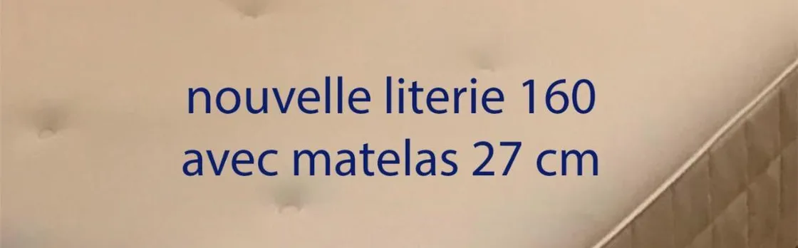 Studio Charme Et Confort Aux Cordeliers