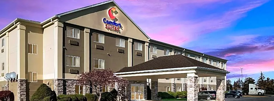 Comfort Suites Saginaw North
