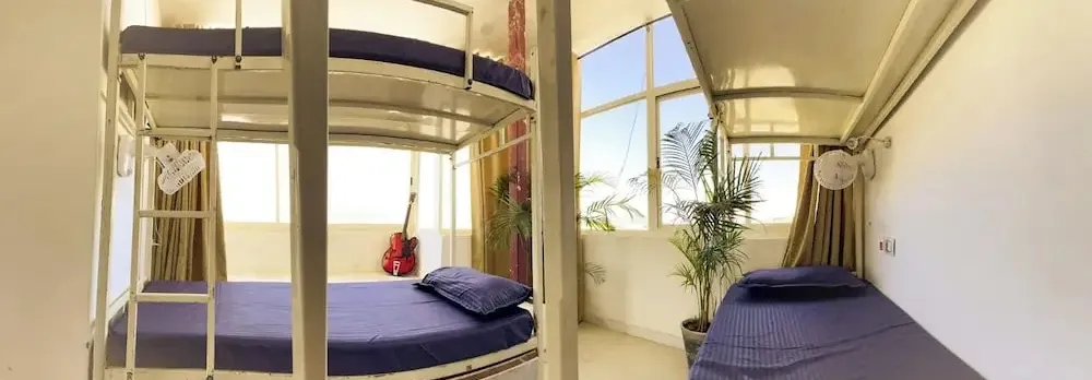 Mild Life Hostel Udaipur