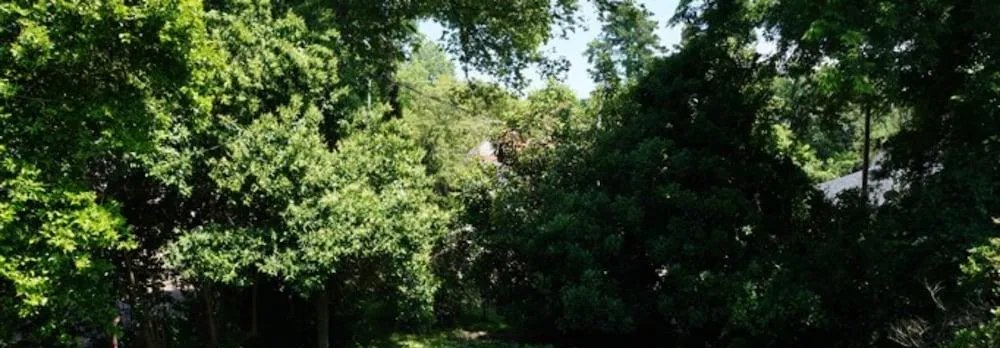 The Hideaway Natchez