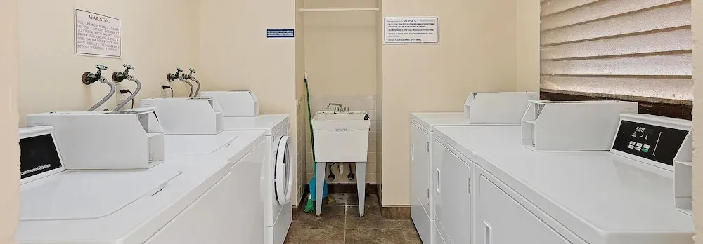 Oasis 21