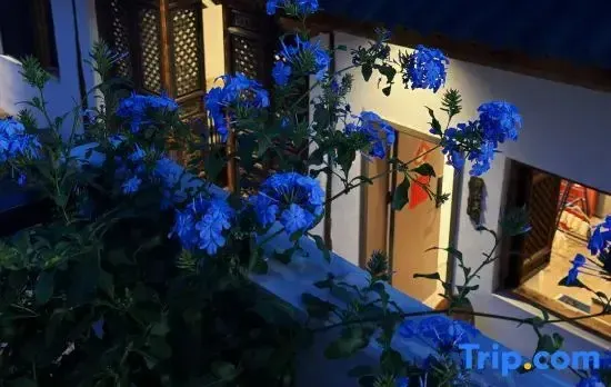 Dali Eugene Hostel