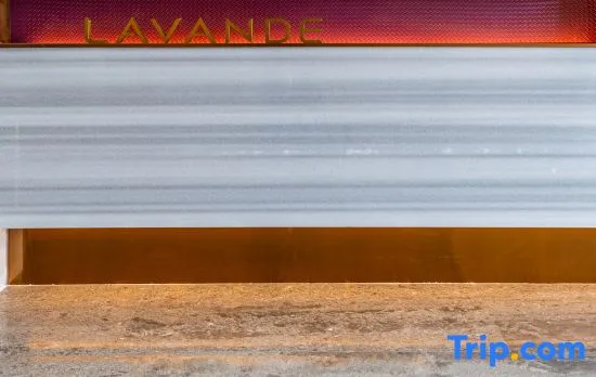 Lavande Hotel Wuhan Tianhe Airport Aviation Headquarters Subway Station Branch