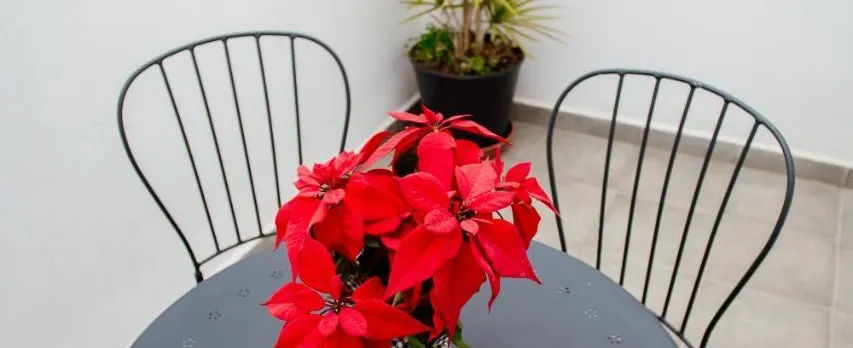 Apartamentos Turisticos Mastil 16 P2