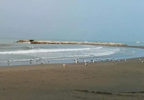 Málaga Alcolea
