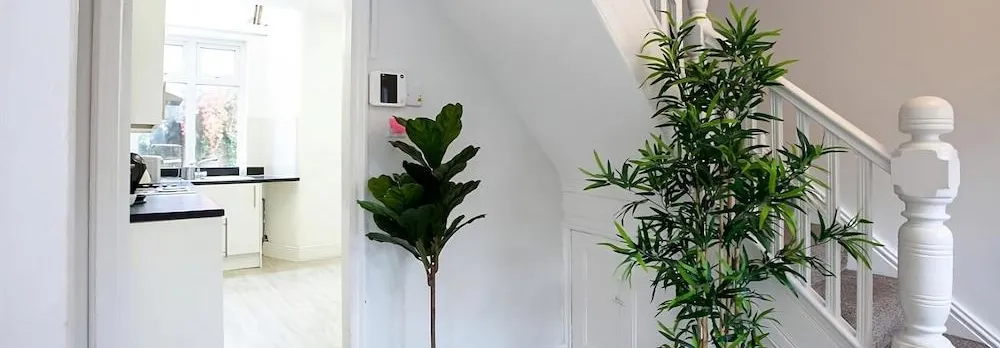 The Safari House