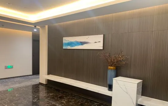 Anyee Jinzhou Hotel (Chengdu Chunxi Road Subway Station IFS)