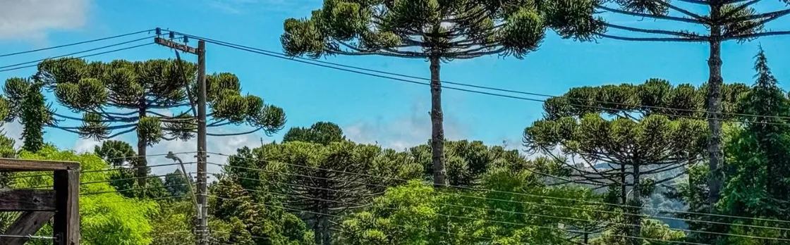 Pousada Victoria Villa Campos Do Jordao