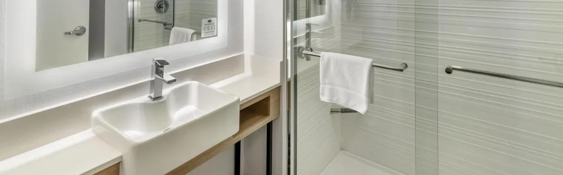 Hampton Inn Atlanta-Stockbridge (H)
