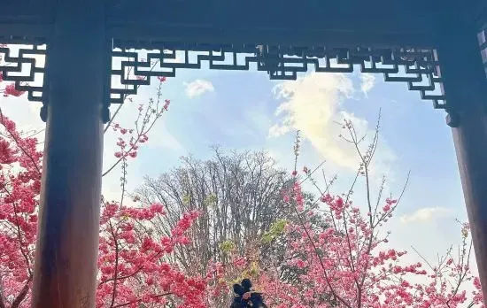 Jingxin Yayuan · Song-style Aesthetics National Style Courtyard