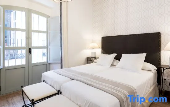 Cosy Apartment in Typical Santa Cruz Quarter. Bamberg