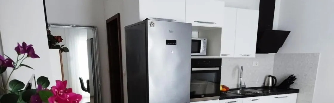 Apartment Nela