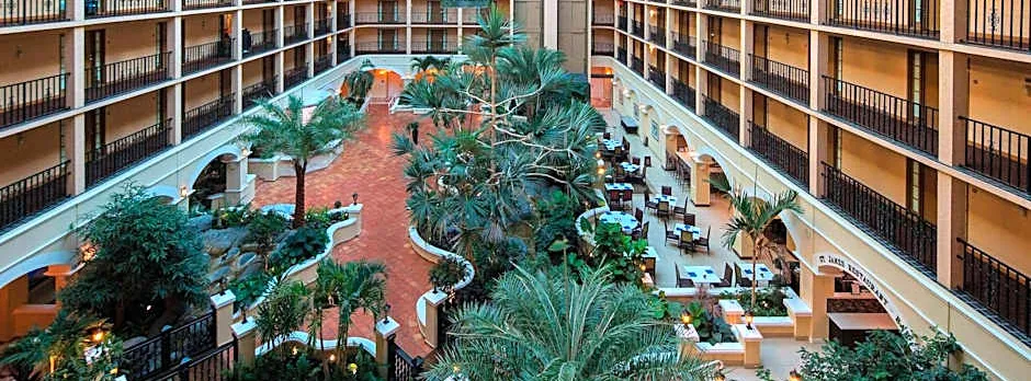 Four Points by Sheraton Suites Tampa Airport Westshore