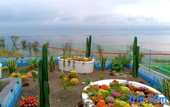 Fanhua Sea View Resort Homestay (Dali Erhai Branch)