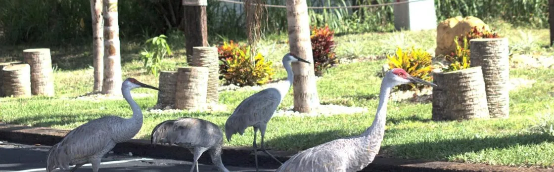 At Home Inn, Fort Pierce