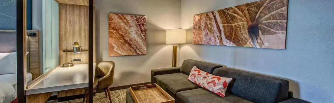 Springhill Suites Amarillo West/Medical Center