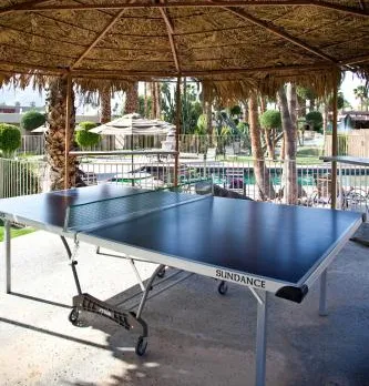 Desert Isle of Palm Springs